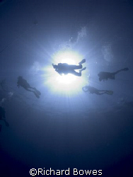 Divers.
Provo, Turks and Caicos by Richard Bowes 